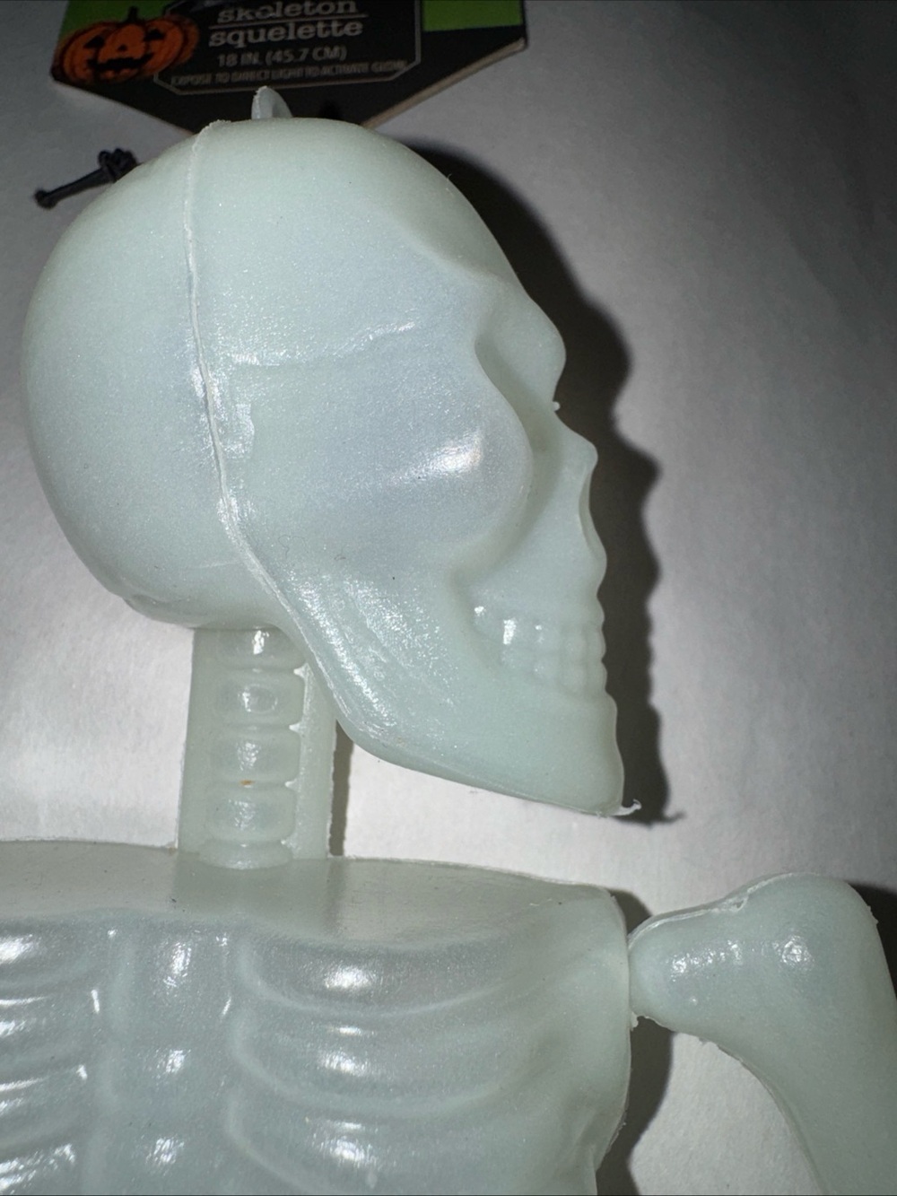 Glow-In-The-Dark Skeleton Wall Decor - White 18 inches long NWT